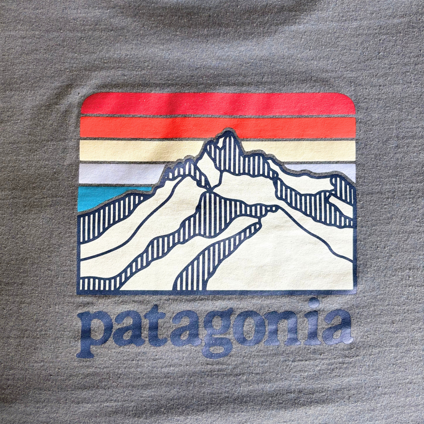 Patagonia Gray T-Shirt – Front Pocket, Mountain Graphic (Size L)
